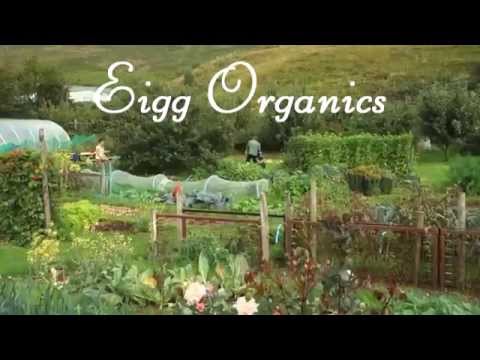 Eigg Organics Gardening Courses (HD)